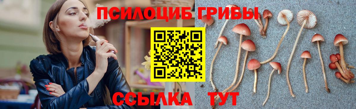 Галлюциногенные грибы Psilocybe Сибай