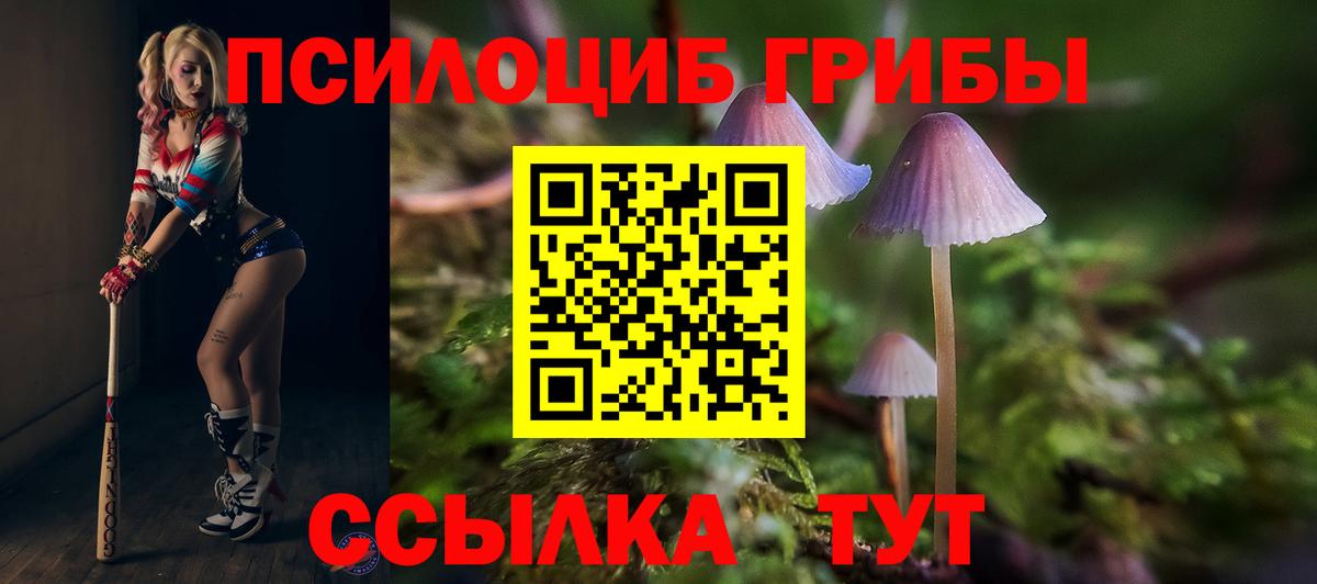 Псилоцибиновые грибы Magic Shrooms  Галлюциногенные грибы MAGIC MUSHROOMS  Сибай  Вход с VPN 